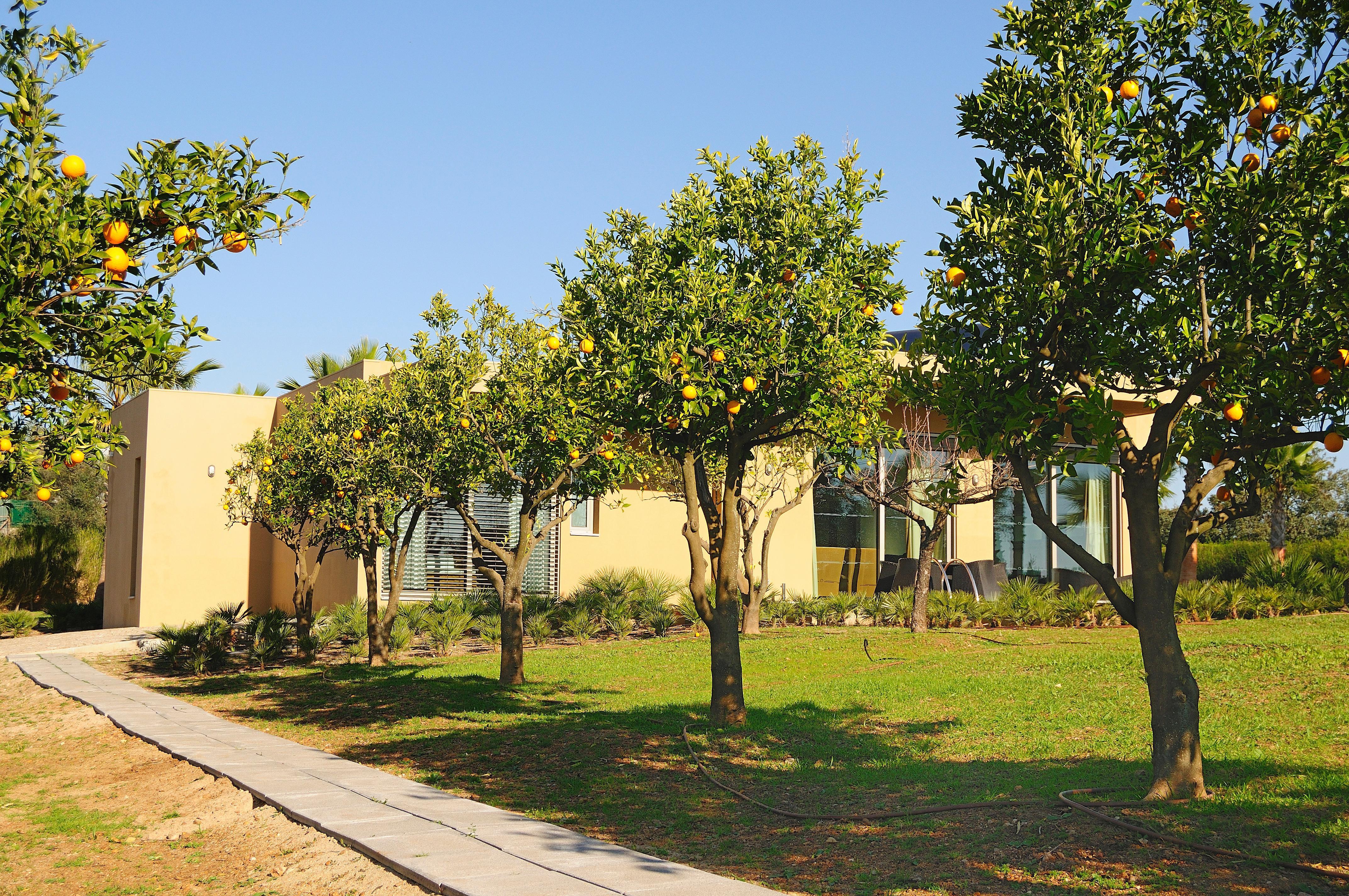 Hotel Montargil Monte Novo Zewnętrze zdjęcie